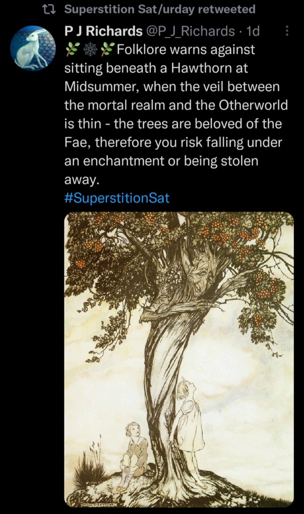 Tweet by P J Richards, with the following:

"Folklore warns against sitting beneath a Hawthorn at Midsummer, then the veil between the mortal realm and the Otherworld is thin - the trees are beloved of the Fae, therefore you risk falling under an enchantment or being stolen away."

Includes an illustration by Arthur Rackham.