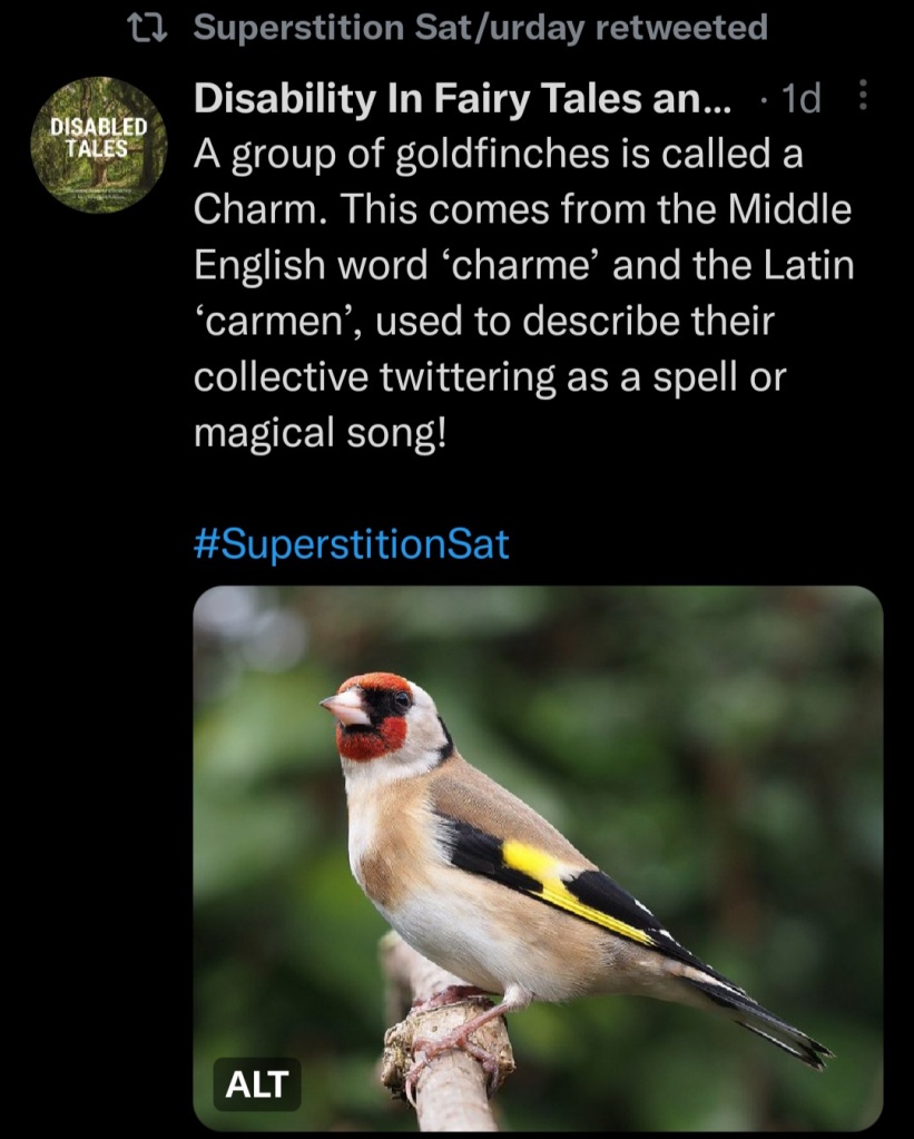 Tweet says:

"A group of goldfinches is called a Charm. This comes from the Middle English word 'charme' and the Latin 'carmen', used to describe their collective twittering as a spell of magical song!"

Includes a photo of a goldfinch attributed to Francis C Franklin.